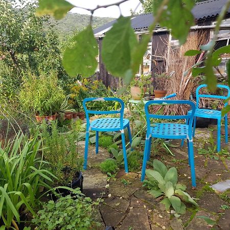 ホテルMissel Dene Rodney Stoke エクステリア 写真